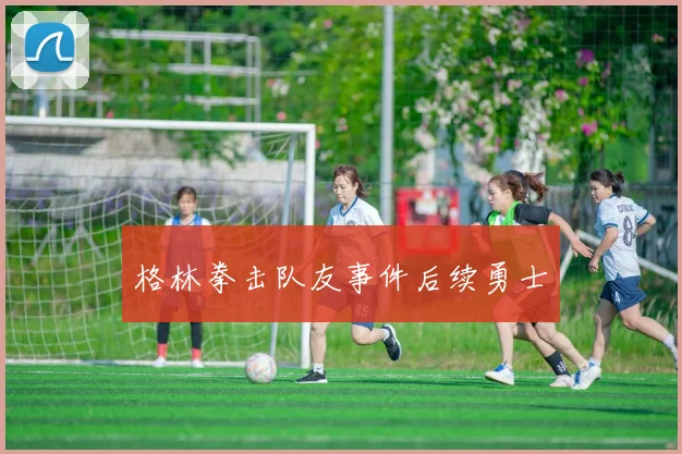 格林拳击队友事件后续勇士