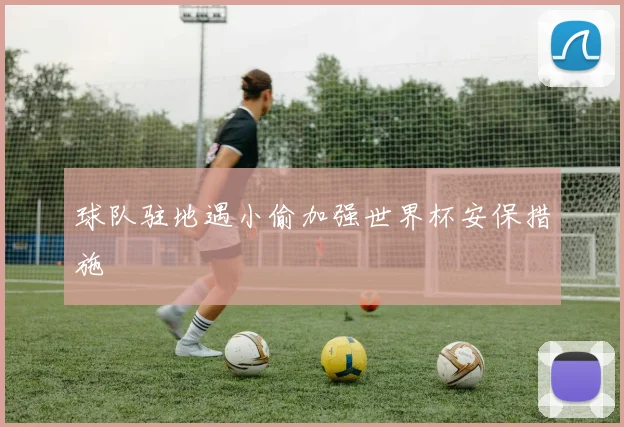球队驻地遇小偷加强世界杯安保措施