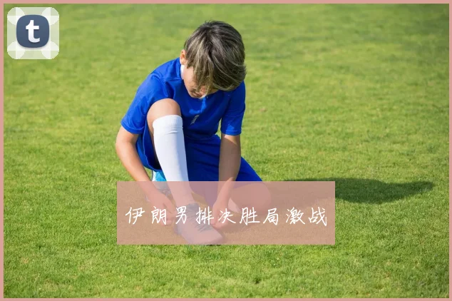 伊朗男排决胜局激战