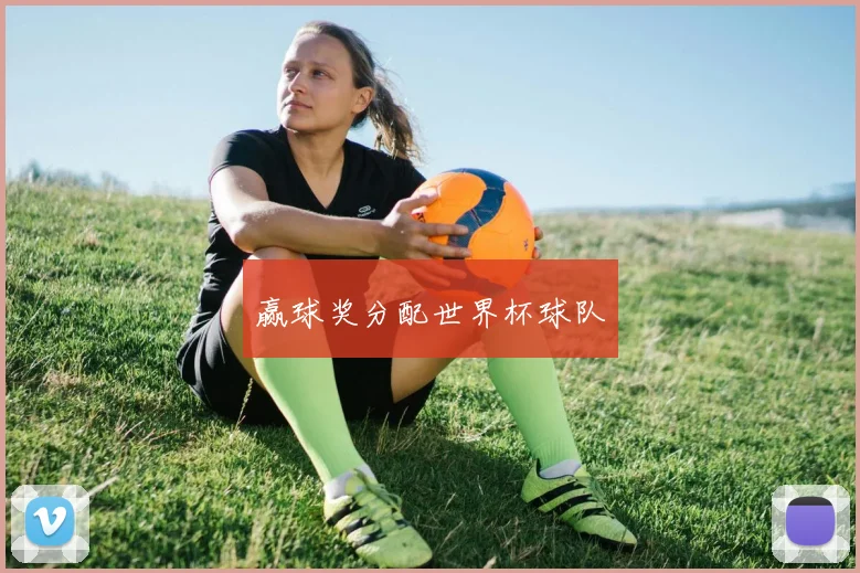 赢球奖分配世界杯球队