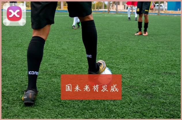 国米老将发威