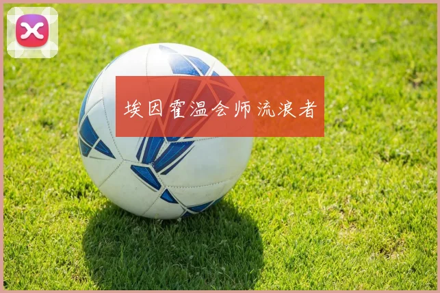 埃因霍温会师流浪者
