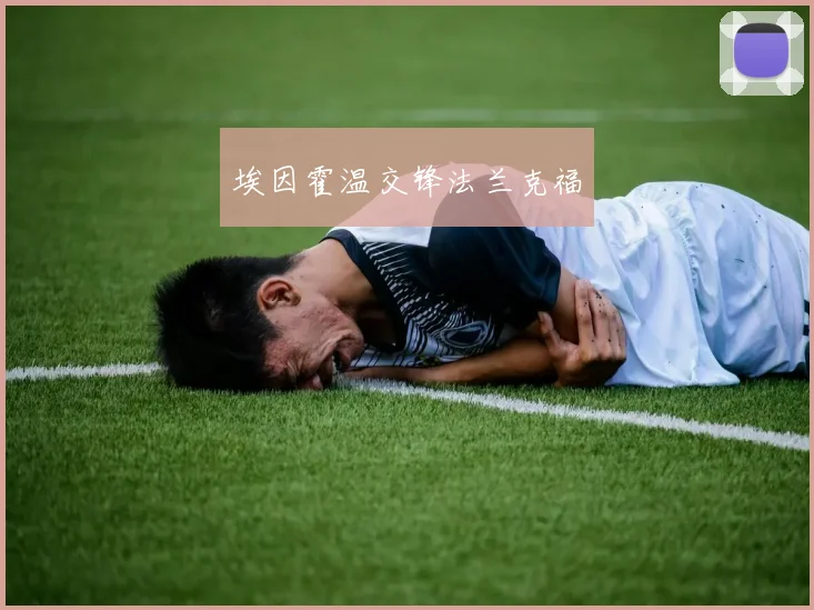 埃因霍温交锋法兰克福