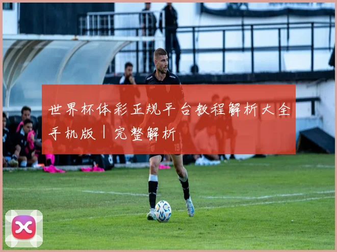 世界杯体彩正规平台教程解析大全手机版｜完整解析
