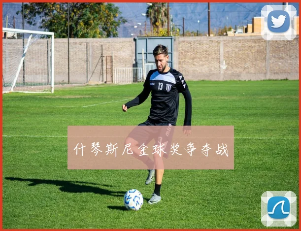 什琴斯尼金球奖争夺战