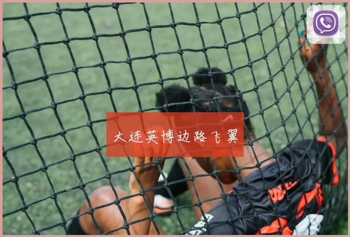 大连英博边路飞翼