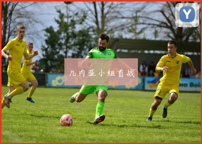 几内亚小组首战