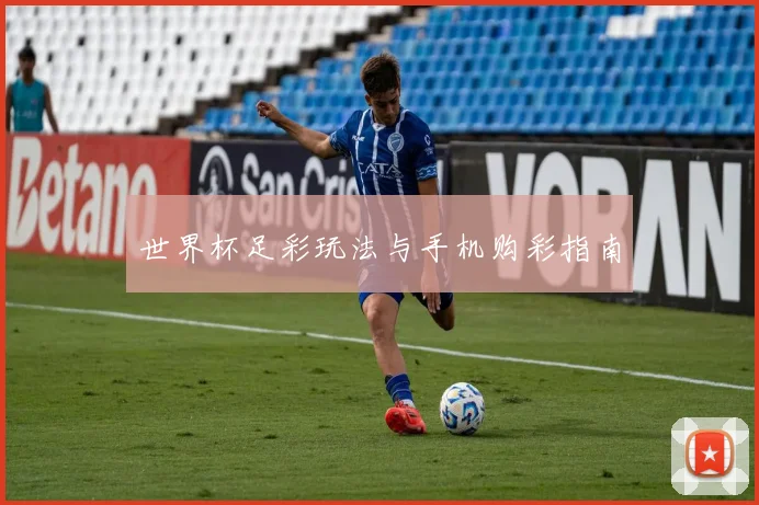 世界杯足彩玩法与手机购彩指南