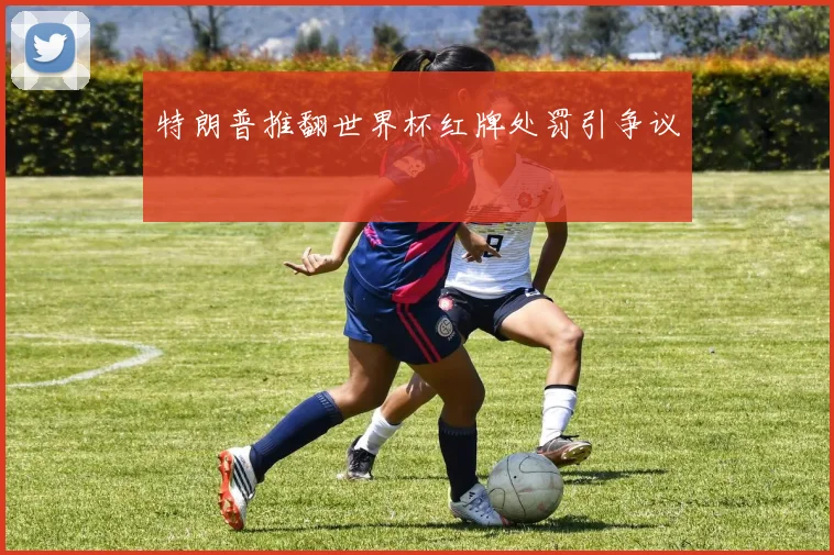特朗普推翻世界杯红牌处罚引争议